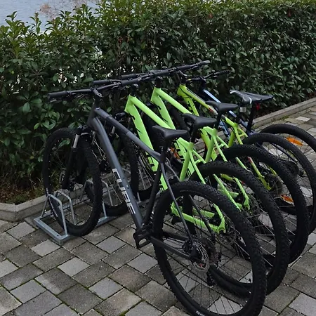 Sasha Βίλα Kuciste